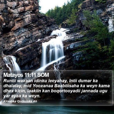 Matayos 11:11 SOM Bible Verse Image