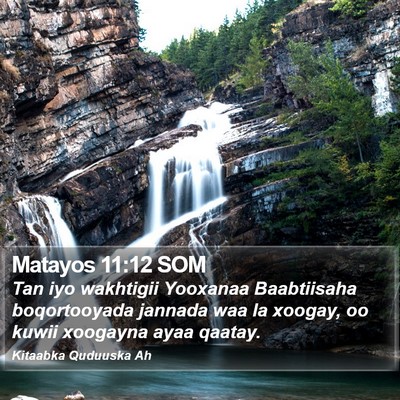Matayos 11:12 SOM Bible Verse Image