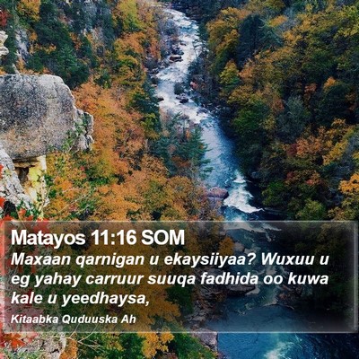 Matayos 11:16 SOM Bible Verse Image