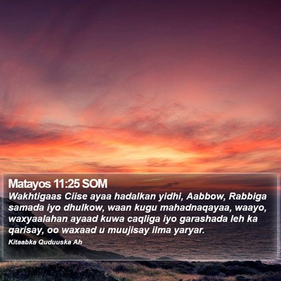 Matayos 11:25 SOM Bible Verse Image