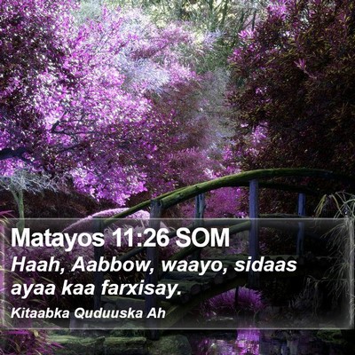 Matayos 11:26 SOM Bible Verse Image
