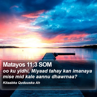 Matayos 11:3 SOM Bible Verse Image