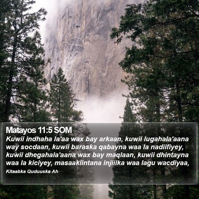Matayos 11:5 SOM Bible Verse Image