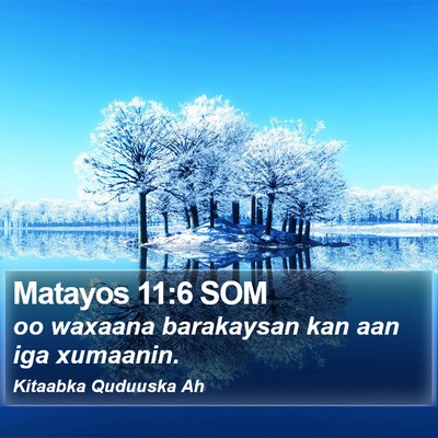Matayos 11:6 SOM Bible Verse Image