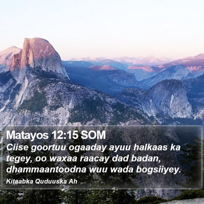 Matayos 12:15 SOM Bible Verse Image