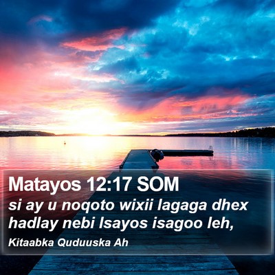 Matayos 12:17 SOM Bible Verse Image