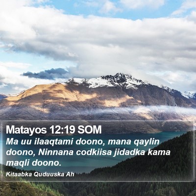 Matayos 12:19 SOM Bible Verse Image