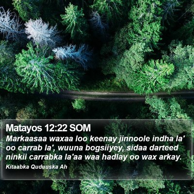 Matayos 12:22 SOM Bible Verse Image