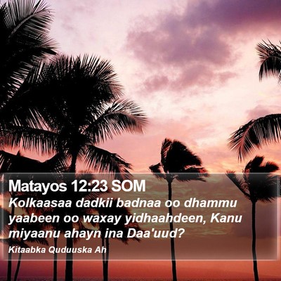 Matayos 12:23 SOM Bible Verse Image