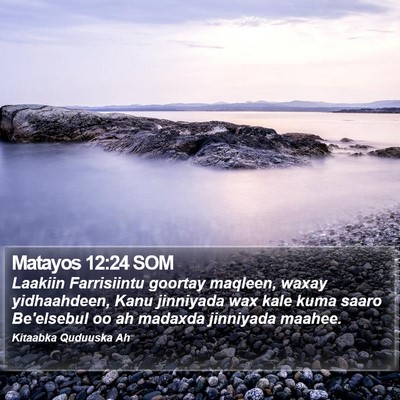Matayos 12:24 SOM Bible Verse Image