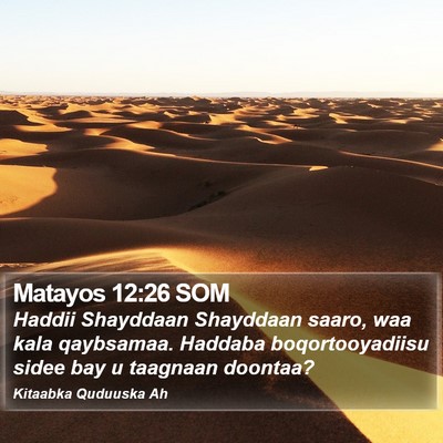 Matayos 12:26 SOM Bible Verse Image