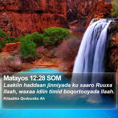 Matayos 12:28 SOM Bible Verse Image