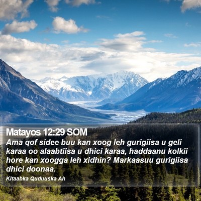 Matayos 12:29 SOM Bible Verse Image