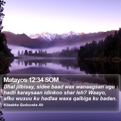 Matayos 12:34 SOM Bible Verse Image