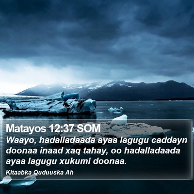 Matayos 12:37 SOM Bible Verse Image