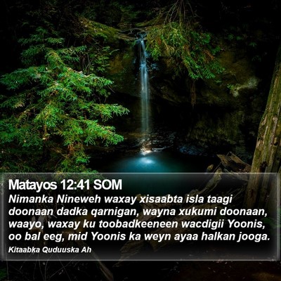 Matayos 12:41 SOM Bible Verse Image