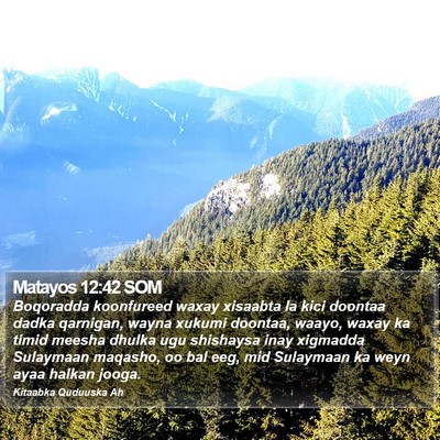 Matayos 12:42 SOM Bible Verse Image