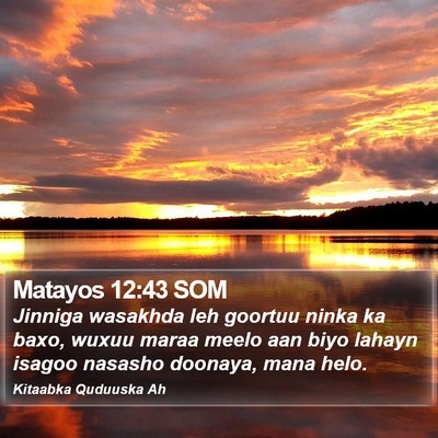 Matayos 12:43 SOM Bible Verse Image