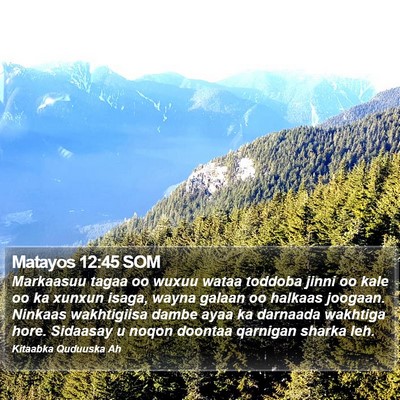 Matayos 12:45 SOM Bible Verse Image