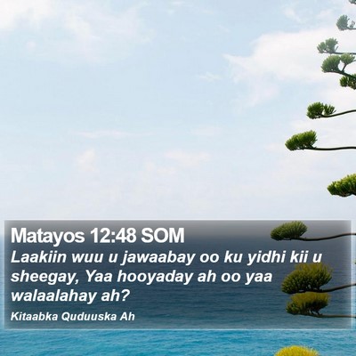 Matayos 12:48 SOM Bible Verse Image