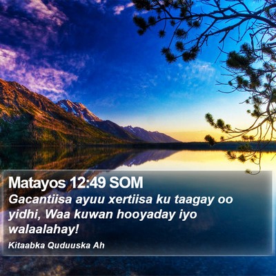 Matayos 12:49 SOM Bible Verse Image