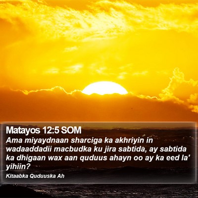 Matayos 12:5 SOM Bible Verse Image