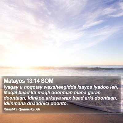 Matayos 13:14 SOM Bible Verse Image