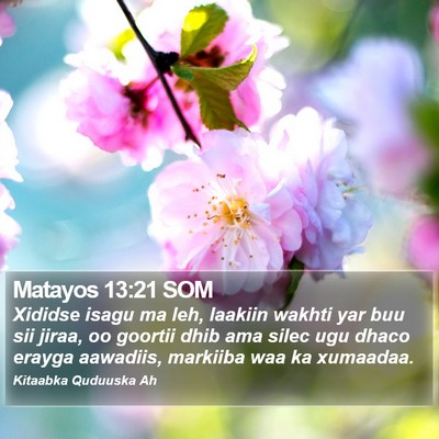 Matayos 13:21 SOM Bible Verse Image