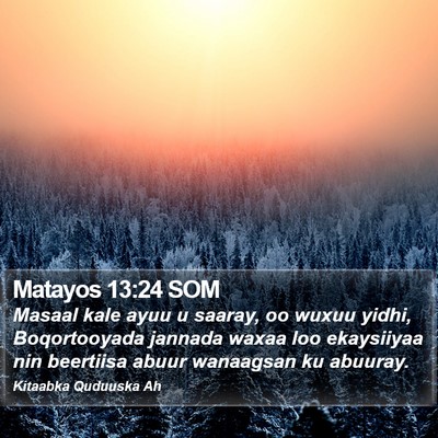 Matayos 13:24 SOM Bible Verse Image