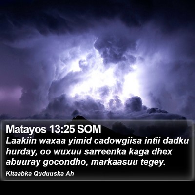 Matayos 13:25 SOM Bible Verse Image