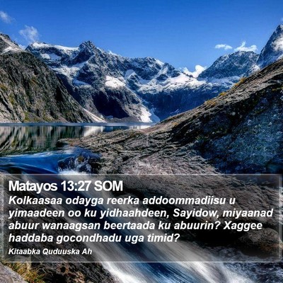 Matayos 13:27 SOM Bible Verse Image