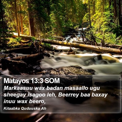 Matayos 13:3 SOM Bible Verse Image