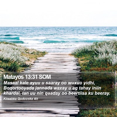 Matayos 13:31 SOM Bible Verse Image