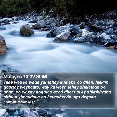 Matayos 13:32 SOM Bible Verse Image