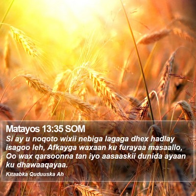 Matayos 13:35 SOM Bible Verse Image