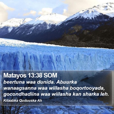 Matayos 13:38 SOM Bible Verse Image