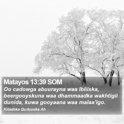 Matayos 13:39 SOM Bible Verse Image