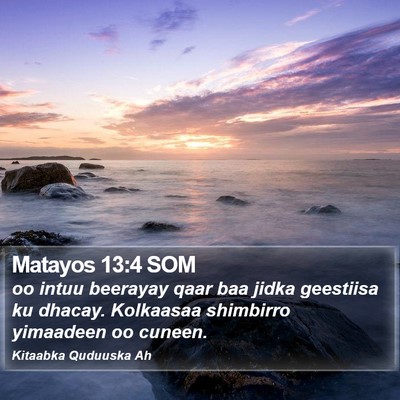 Matayos 13:4 SOM Bible Verse Image