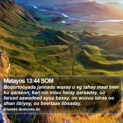 Matayos 13:44 SOM Bible Verse Image