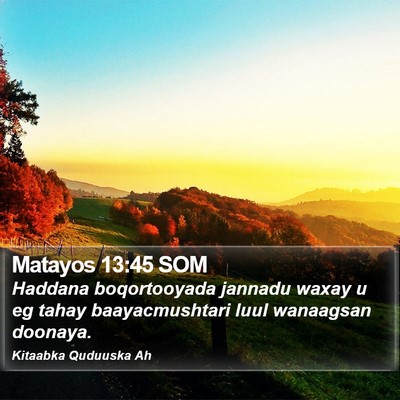 Matayos 13:45 SOM Bible Verse Image