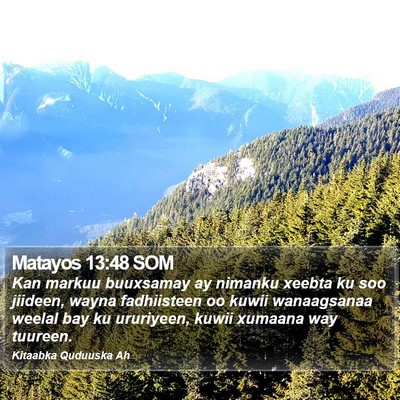 Matayos 13:48 SOM Bible Verse Image