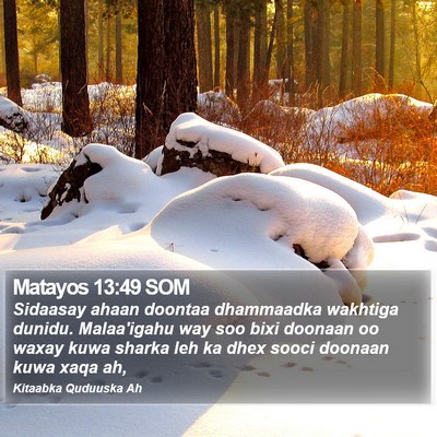 Matayos 13:49 SOM Bible Verse Image
