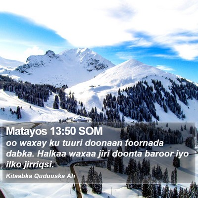 Matayos 13:50 SOM Bible Verse Image