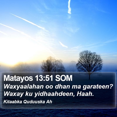 Matayos 13:51 SOM Bible Verse Image