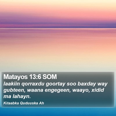 Matayos 13:6 SOM Bible Verse Image