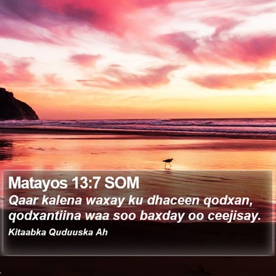 Matayos 13:7 SOM Bible Verse Image