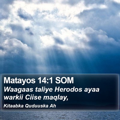 Matayos 14:1 SOM Bible Verse Image