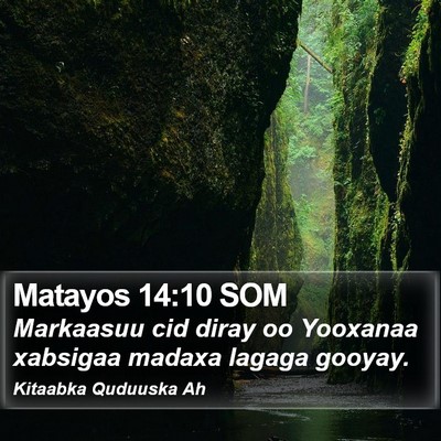 Matayos 14:10 SOM Bible Verse Image