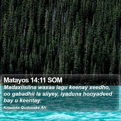 Matayos 14:11 SOM Bible Verse Image