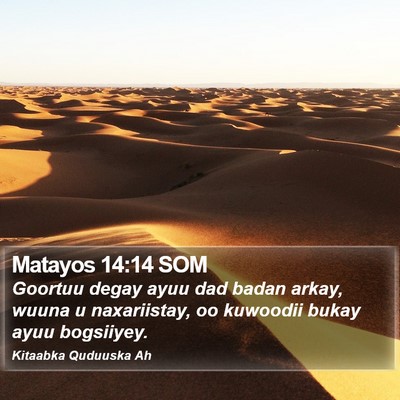 Matayos 14:14 SOM Bible Verse Image
